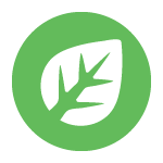 type-plante